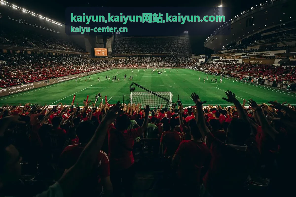 新用户了解 kaiyun网站指南