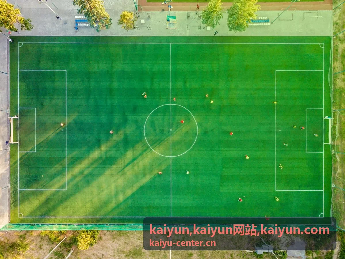kaiyun.com 品牌信息辨识